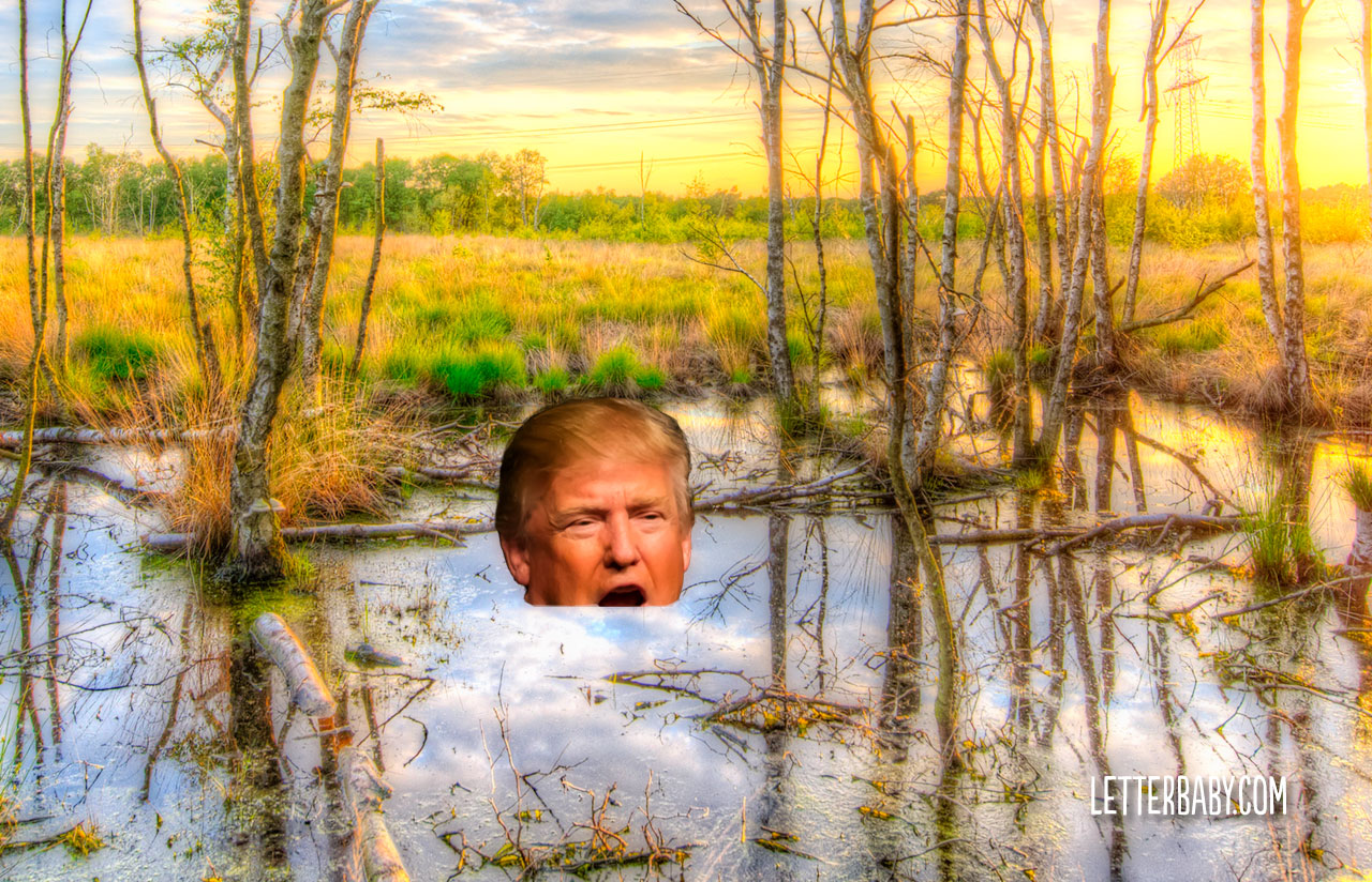 Donald Trump Swamped